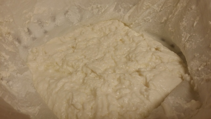 Fresh curds in the cheese cloth